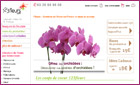 Livraison de fleurs : Site 123 Fleurs